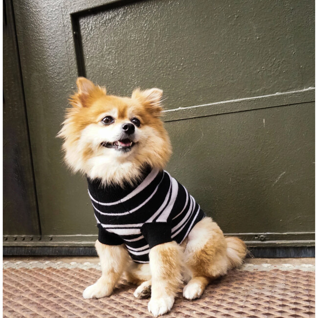 The Lupo Sweater, Black and White - Dog Clothes - 6