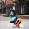 The Lupo Sweater, Multi Stripe - Dog Clothes - 4