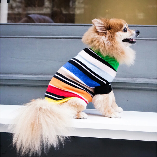 The Lupo Sweater, Multi Stripe - Dog Clothes - 5