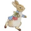 Peter Rabbit Plate - Party - 1 - thumbnail