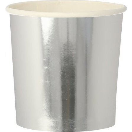 Silver Tumbler Cups
