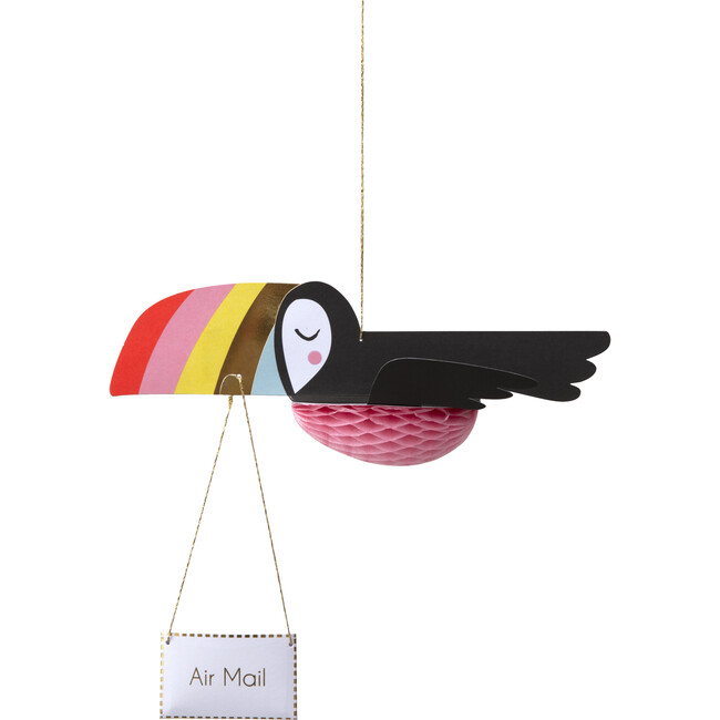 Flying Toucan Card
