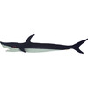 Shark Knitted Scarf - Scarves - 2