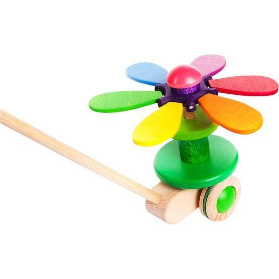 Rainbow Flower Push Toy