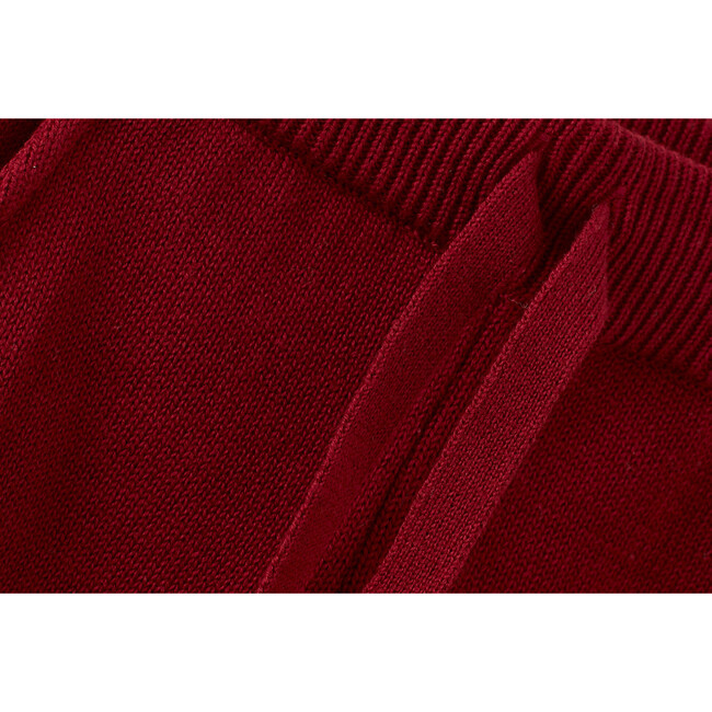 Organic Cotton Knit Joggers, Red Jasper