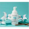 Orange You Glad Sanitizer Bundle - Hand Sanitizers - 6