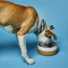The Classic Bowl, White - Pet Bowls & Feeders - 2