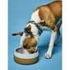 The Classic Bowl, White - Pet Bowls & Feeders - 3