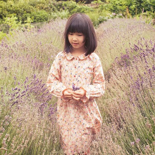 スーツ・フォーマル・ドレス le.ema flower design sleeve dress Emma Long Sleeve Collared Dress, Pink Graphic Flower