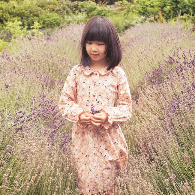 Emma Long Sleeve Collared Dress, Pink Graphic Flower - Dresses - 4