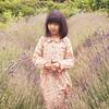 Emma Long Sleeve Collared Dress, Pink Graphic Flower - Dresses - 4