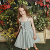 Naomi Dress, Blue Daisies - Dresses - 2