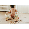 Family Variety Haircare Sampler Set - Shampoos - 2