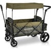 Pull & Push Double Stroller Wagon 2 Seater with Magnetic Seatbelt Buckles, Green - Double Strollers - 1 - thumbnail