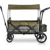 Pull & Push Double Stroller Wagon 2 Seater with Magnetic Seatbelt Buckles, Green - Double Strollers - 3