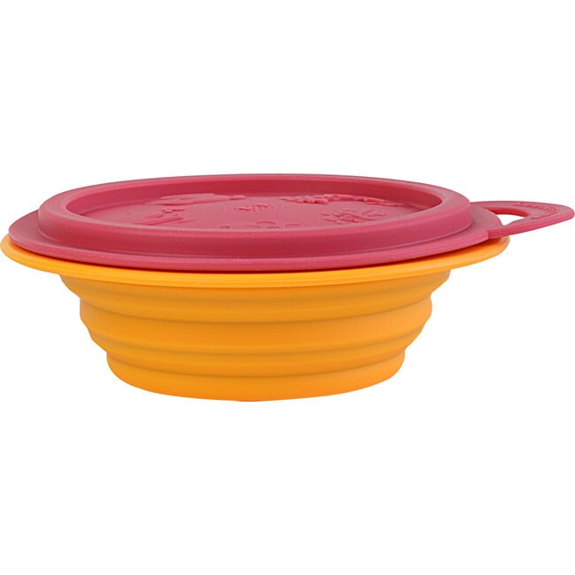 Collapsible Bowl, Marcus the Lion - Tabletop - 3