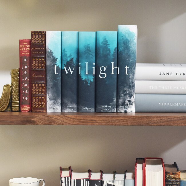 The Twilight Saga Book Set
