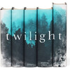 The Twilight Saga Book Set - Books - 4 - thumbnail