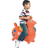 Rody Max with Pump, Orange - Ride-Ons - 2