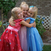 Deluxe Cinderella Butterfly - Costumes - 3