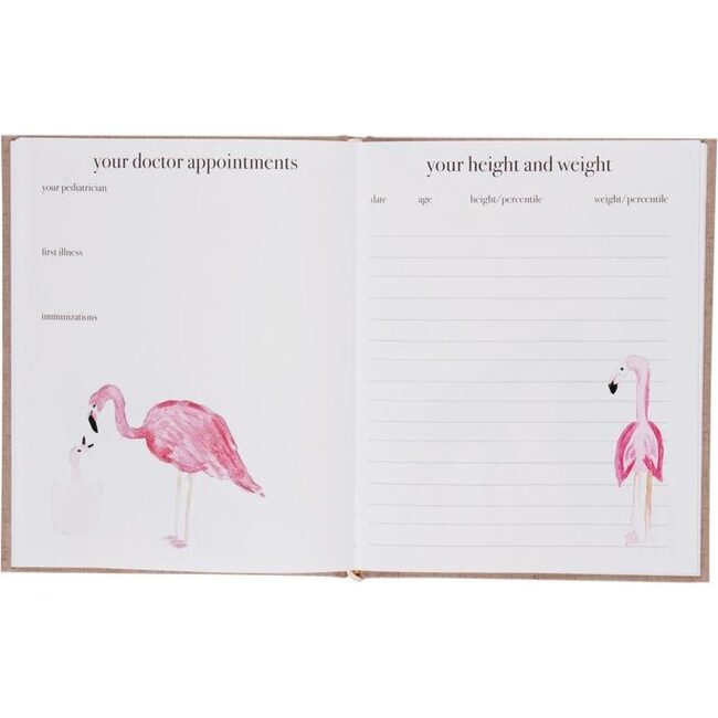 Peep's Paper Baby Book - Books - 8