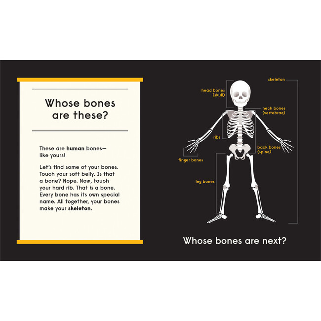 Whose Bones - Books - 3