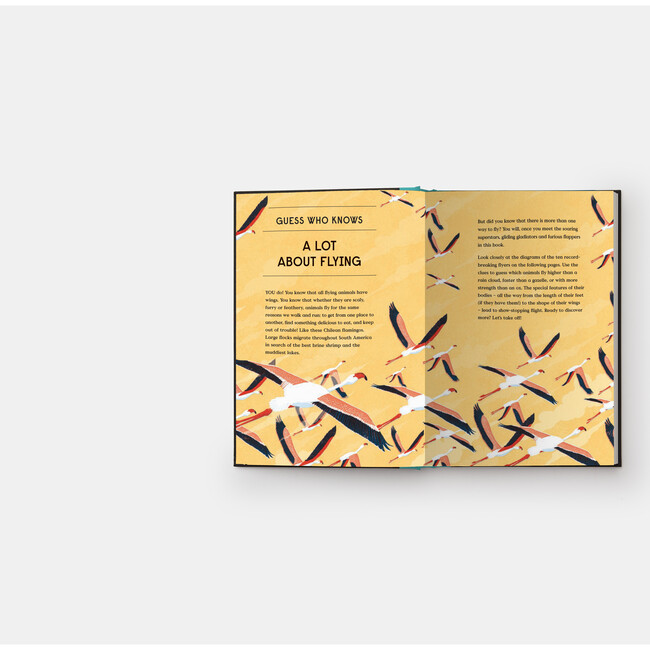 Book of Flight - Books - 2