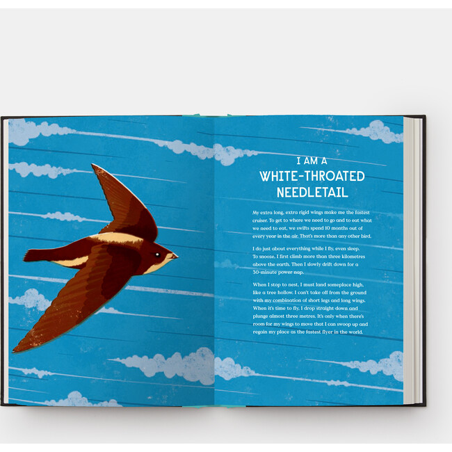 Book of Flight - Books - 3