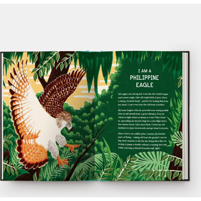 Book of Flight - Books - 4