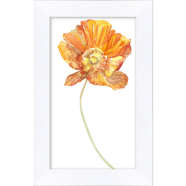 Watercolor Poppy by Nathan Turner