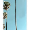 Echo Park by Nathan Turner - Art - 3