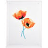 California Poppies by Nathan Turner - Art - 1 - thumbnail