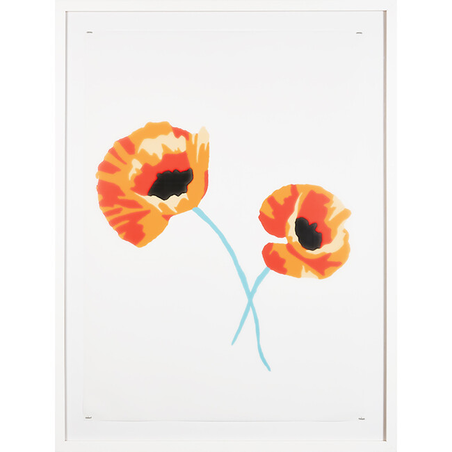 Poppy Flowers by Nathan Turner