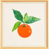 Summer Citrus by Nathan Turner - Art - 1 - thumbnail