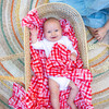 Swaddle Blankets, Bugs & Picnic - Swaddles - 3