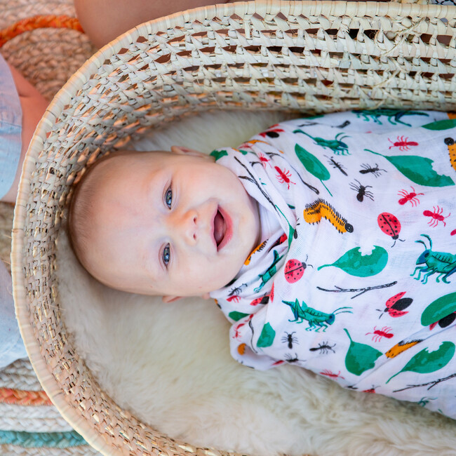 Swaddle Blankets, Bugs & Picnic - Swaddles - 4