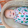 Swaddle Blankets, Bugs & Picnic - Swaddles - 4