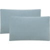 Set of 2 Soleil Solid Indoor/Outdoor Pillow, Baby Blue - Decorative Pillows - 1 - thumbnail