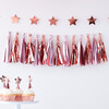 Tassel Garland, Pink & Rose Gold - Garlands - 2