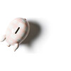 Piggy Bank, Blush Gingham - Accents - 7