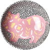 Chinese Zodiac Accent Bowl, Pig - Accents - 1 - thumbnail