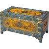 Nador Brass Inlay Storage Trunk - Toychests - 2