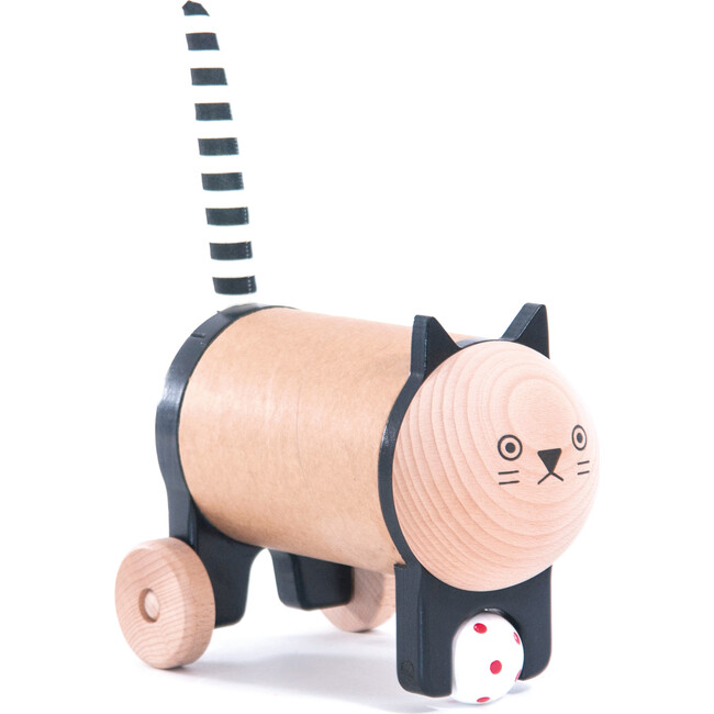 Safebox Cat
