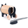 Safebox Cat - Accents - 2
