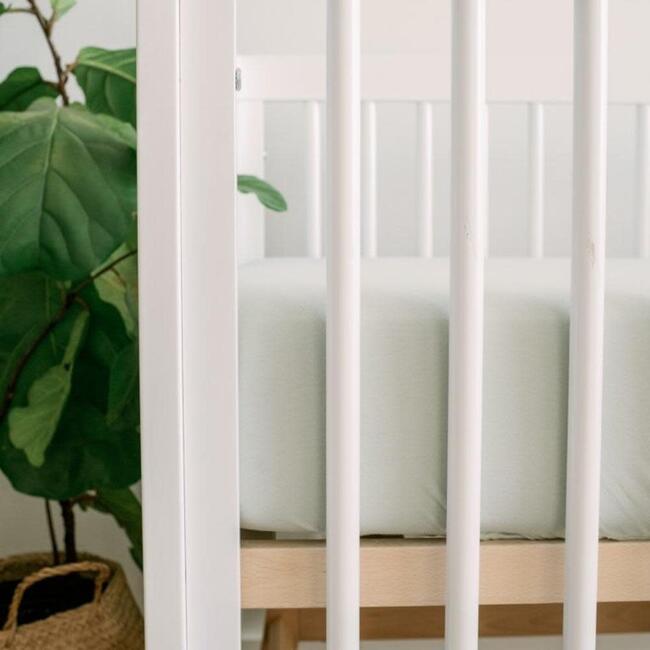 3 Piece Organic Knit Nursery Bedding Set, Succulent - Crib Sheets - 2