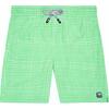 Men's Gingham Swim Trunk,  Green - Swim Trunks - 1 - thumbnail