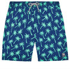 Men's Palm Swim Shorts, Navy and Green - Swim Trunks - 1 - thumbnail