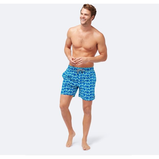Mens Turtle Swim Trunk, Blue - Swim Trunks - 2