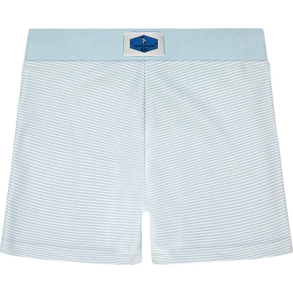Nantucket Blue Stripe Swim Short - Swim Trunks - 2