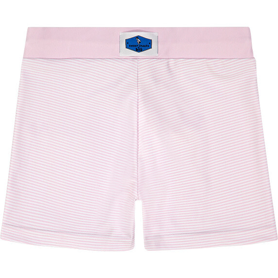Nantucket Pink Stripe Swim Short - Swim Trunks - 2